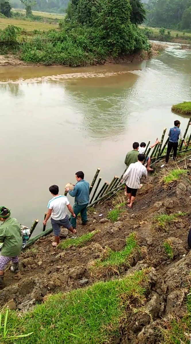 Hàng trăm người làm kè tạm 'cứu' nhà trường khỏi sạt lở - ảnh 6