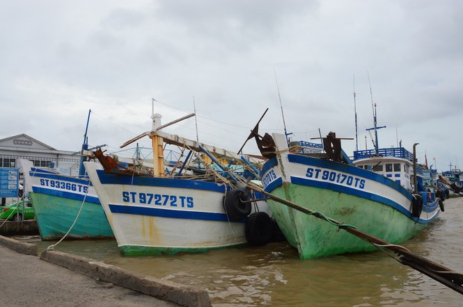 Sóc Trăng ứng phó với bão Damrey - ảnh 1