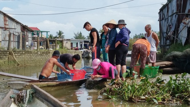 TT-Huế: Sau lũ, cá chết trắng lồng vùng cửa biển Thuận An - ảnh 4