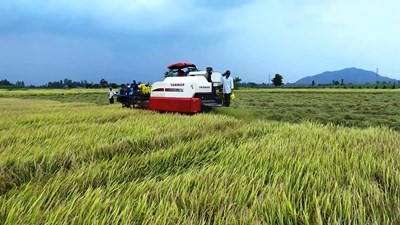 Agribank góp phần hiện thực hóa máy nông cụ Nhật Bản đến nông dân Việt - ảnh 3