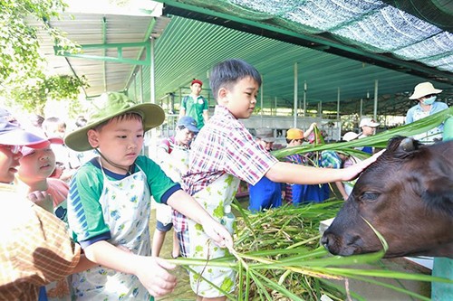 5 điểm vui chơi Tết Dương lịch trong ngày ở Sài Gòn - ảnh 5
