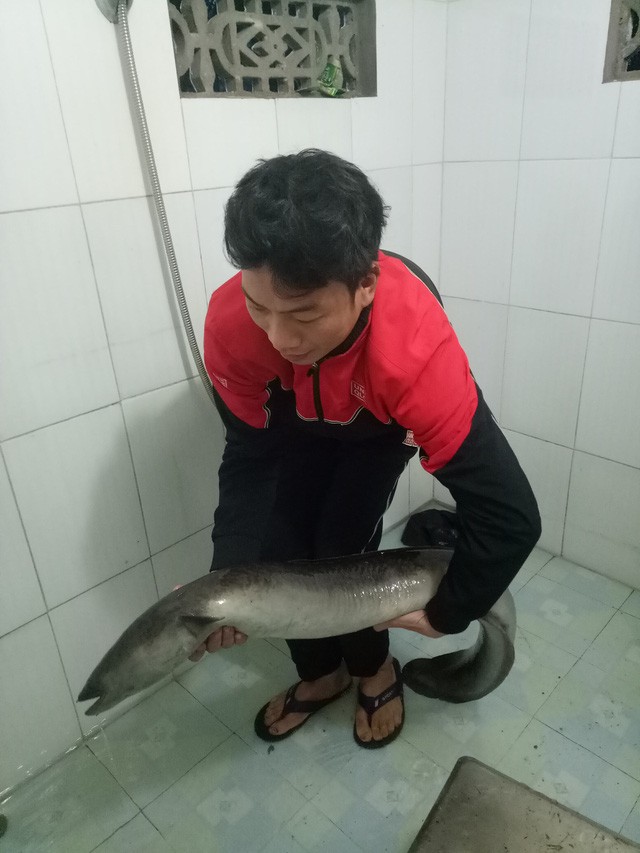 Bắt được cá lệch 'khủng' nặng gần 10kg trong sáng ngày đầu năm - ảnh 2