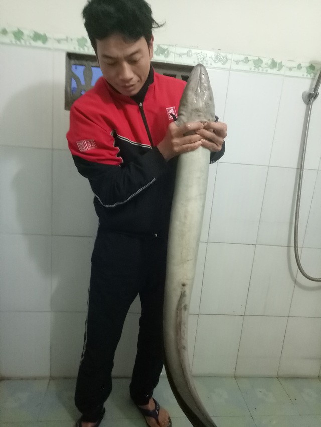 Bắt được cá lệch 'khủng' nặng gần 10kg trong sáng ngày đầu năm - ảnh 1