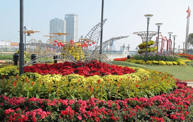 Đường hoa lộng lẫy bên sông Hàn đón du khách dịp Tết - ảnh 1