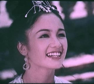 Thu Hà 'Lá ngọc cành vàng' vẫn đẹp rạng ngời dù đã ở tuổi 50 - ảnh 2