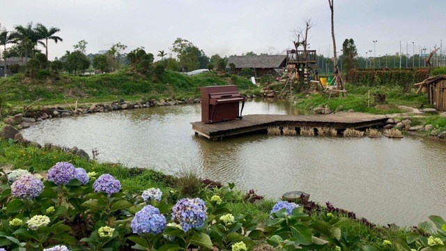 Khai trương công viên hoa 22 ha ngay tại trung tâm Hà Nội - ảnh 1