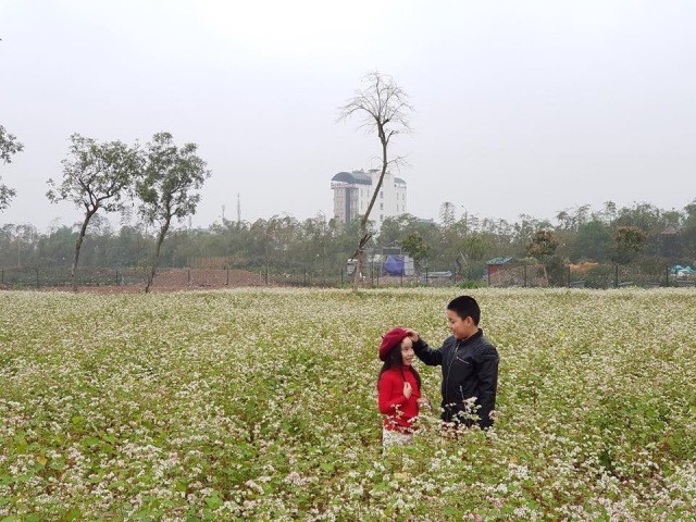 Khai trương công viên hoa 22 ha ngay tại trung tâm Hà Nội - ảnh 2
