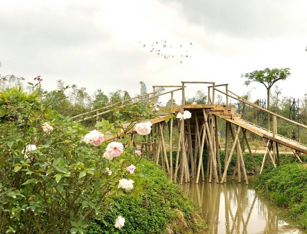 Khai trương công viên hoa 22 ha ngay tại trung tâm Hà Nội - ảnh 5
