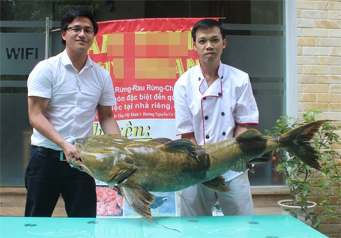 'Quái ngư' sông Đà và những cuộc 'vật lộn' ly kỳ giữa người và cá - ảnh 3