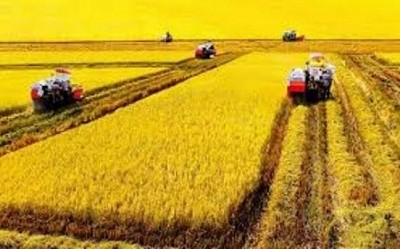 Cùng Đồng bằng sông Cửu Long phát triển bền vững - ảnh 3