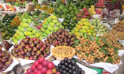 Cùng Đồng bằng sông Cửu Long phát triển bền vững - ảnh 2