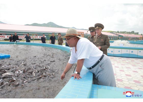 Thăm trại cá, ông Kim Jong-un khen cá trê nhìn giống… thỏi vàng - ảnh 6