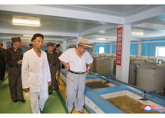 Thăm trại cá, ông Kim Jong-un khen cá trê nhìn giống… thỏi vàng - ảnh 9