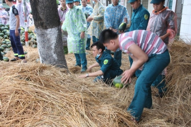Quân dân Đà Nẵng đội mưa, gom dưa giúp tài xế xe tải bị lật - ảnh 6