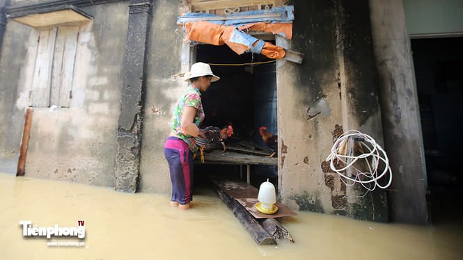 Người dân Hà Nội bơi thuyền vào nhà sau sự cố nước tràn đê - ảnh 5