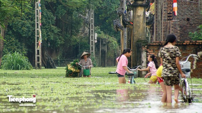 Người dân Hà Nội bơi thuyền vào nhà sau sự cố nước tràn đê - ảnh 8