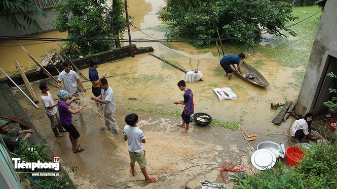 Người dân Hà Nội bơi thuyền vào nhà sau sự cố nước tràn đê - ảnh 13