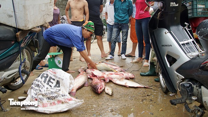 Người dân Hà Nội bơi thuyền vào nhà sau sự cố nước tràn đê - ảnh 15