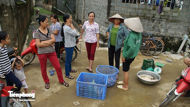 Người dân Hà Nội bơi thuyền vào nhà sau sự cố nước tràn đê - ảnh 16