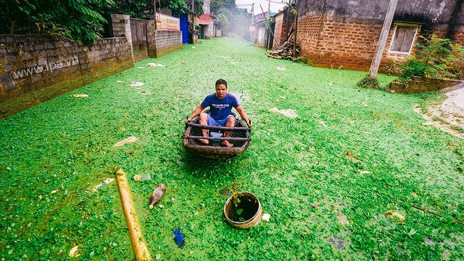 Dân Chương Mỹ vẫn khốn khổ gần một tuần sau sự cố vỡ đê - ảnh 2