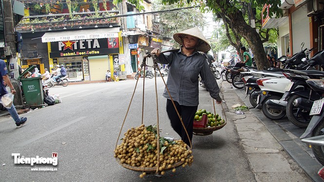 Hà Nội sẽ không còn hoa quả bán rong? - ảnh 2