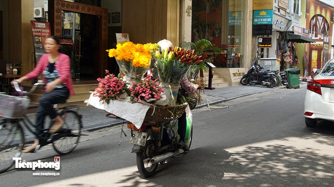 Hà Nội sẽ không còn hoa quả bán rong? - ảnh 4