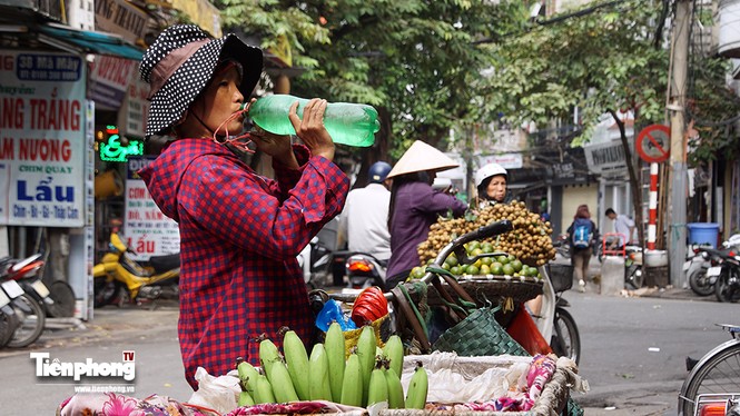 Hà Nội sẽ không còn hoa quả bán rong? - ảnh 6
