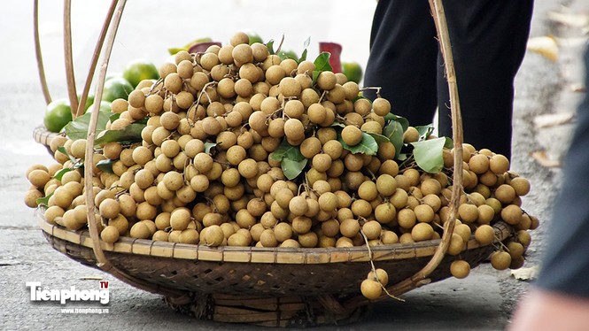 Hà Nội sẽ không còn hoa quả bán rong? - ảnh 9