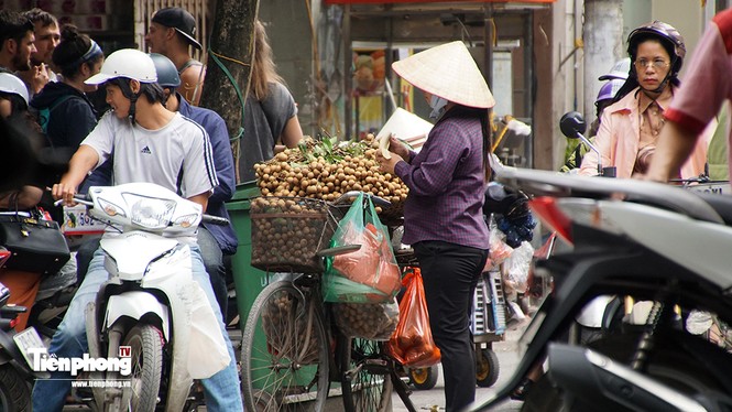 Hà Nội sẽ không còn hoa quả bán rong? - ảnh 13