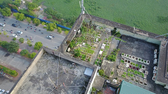 Sân thượng trồng rau, tầng một chứa rác ở khu tái định cư Nam Trung Yên - ảnh 2