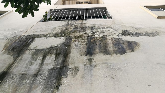 Sân thượng trồng rau, tầng một chứa rác ở khu tái định cư Nam Trung Yên - ảnh 8