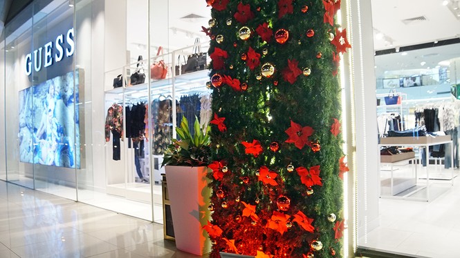 Không khí Noel tràn ngập phố phường Hà Nội - ảnh 9