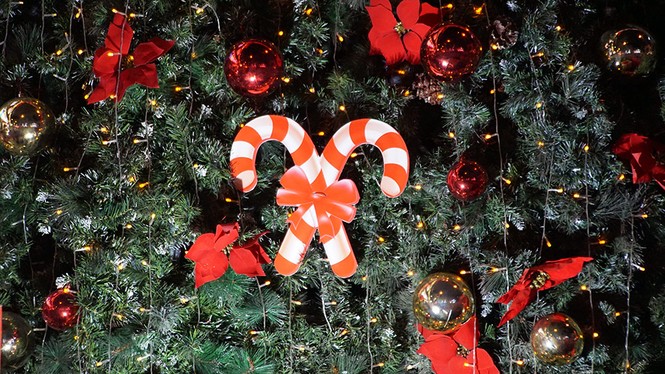 Không khí Noel tràn ngập phố phường Hà Nội - ảnh 14
