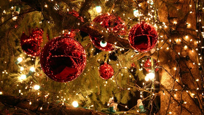 Không khí Noel tràn ngập phố phường Hà Nội - ảnh 16