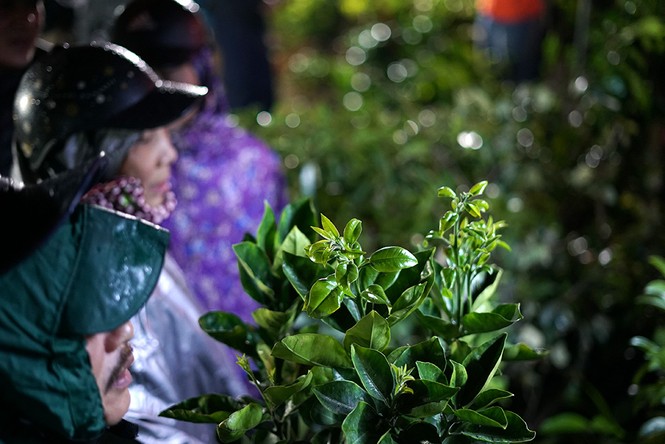 Chợ Viềng có gì mà hàng ngàn người đội mưa rét mua, bán? - ảnh 13