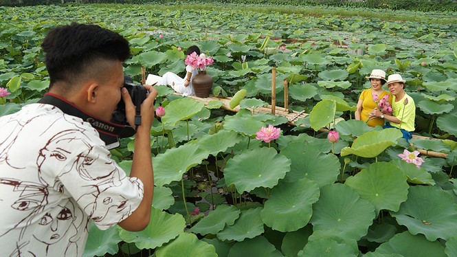Ăn theo mùa sen Hồ Tây, kiếm tiền triệu mỗi ngày - ảnh 2