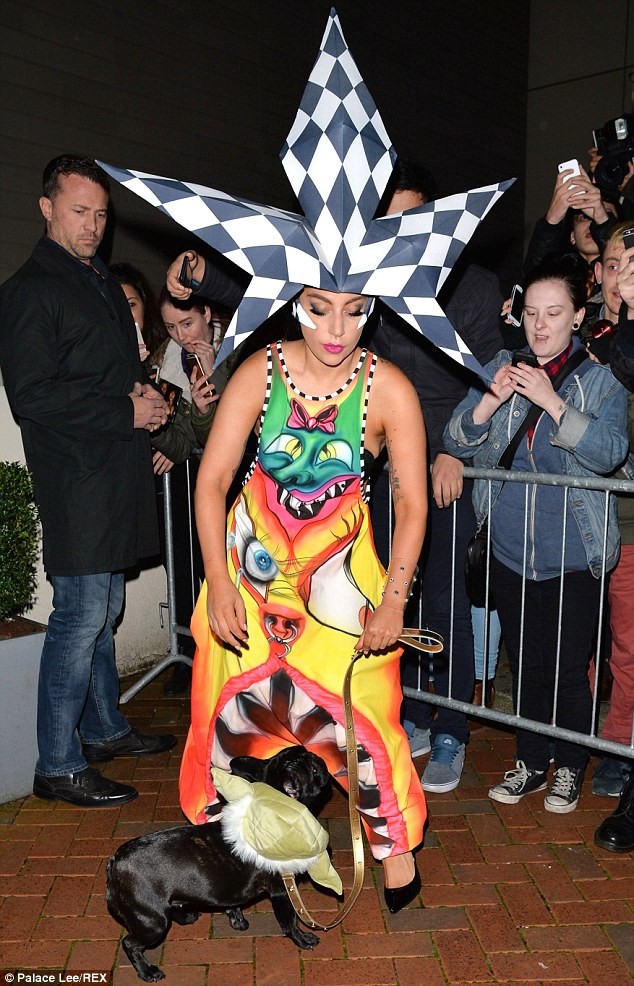 Lady Gaga sặc sỡ như 'tắc kè hoa', dắt chó dạo phố - ảnh 8