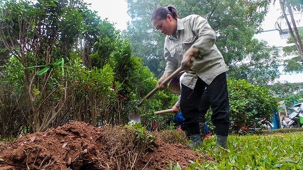 Hà Nội bất ngờ hủy thầu ở dự án con đường đẹp nhất - ảnh 2
