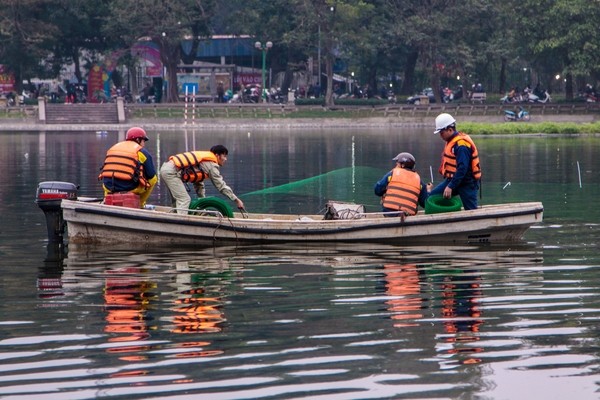 Quây thiên nga bằng lưới nhựa do