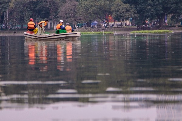 Quây thiên nga bằng lưới nhựa do