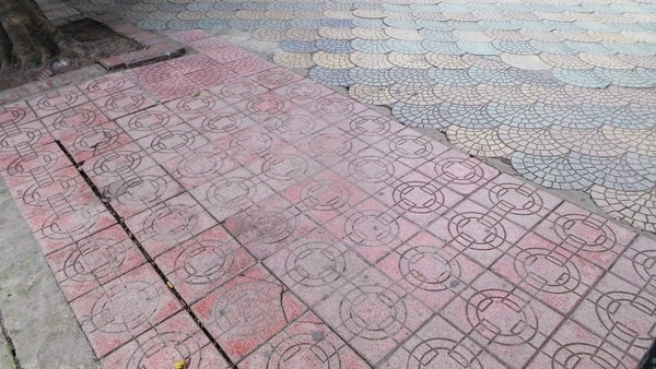 Cận cảnh