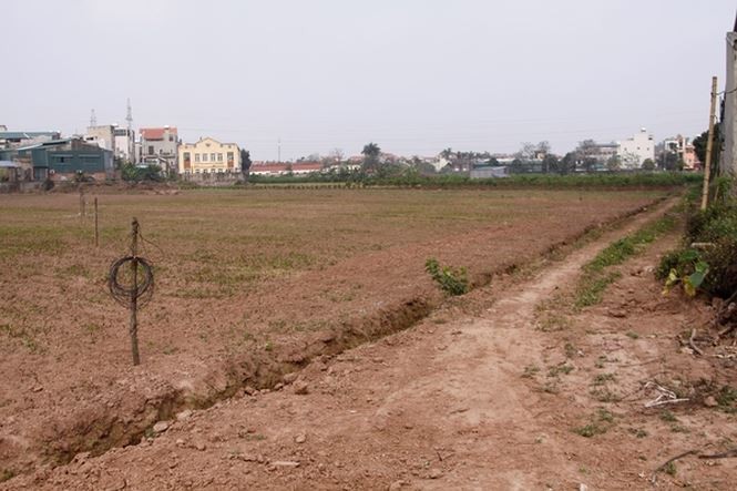 'Bất thường' khu đất bỏ hoang được AVG mua gấp 17 lần - ảnh 1