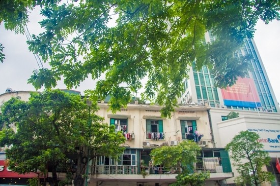 Nhìn gần 12 cây sưa đỏ quý trước ngày di dời - ảnh 6