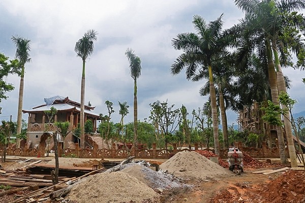 Nhìn gần