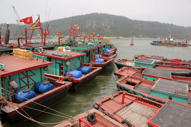Đặc sản làng nghề du lịch Cửa Lò - ảnh 1