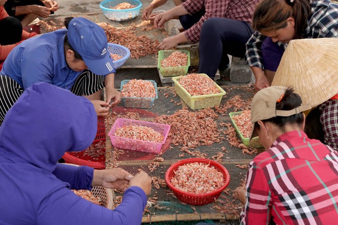 Đặc sản làng nghề du lịch Cửa Lò - ảnh 2