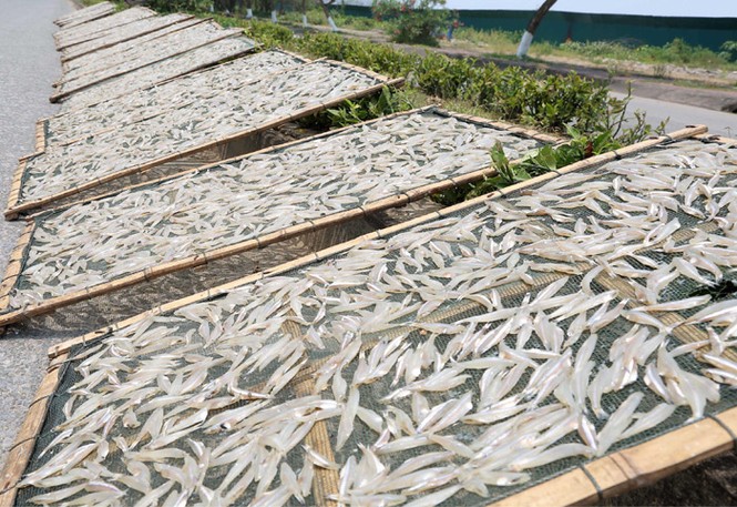 Đặc sản làng nghề du lịch Cửa Lò - ảnh 3