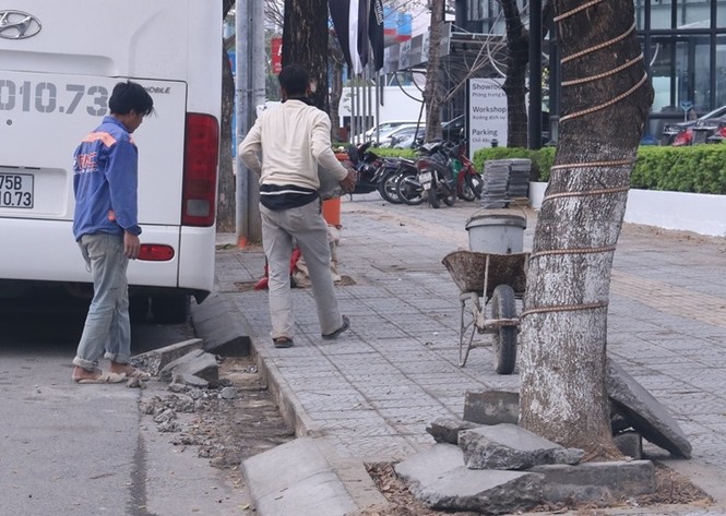 Vữa lát vỉa hè phục vụ APEC chỉ để ngăn... cỏ - ảnh 3