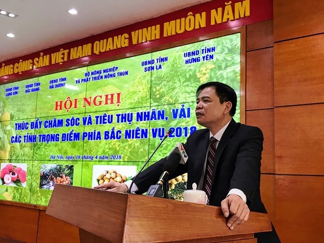 Lên kịch bản tiêu thụ vải, nhãn - ảnh 1