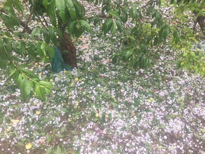 Không khí lạnh về, làm sao để nhận biết mưa đá sắp diễn ra? - ảnh 1